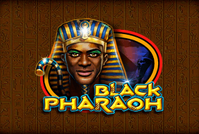 CTInteractive | Black Pharaoh