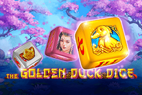CTInteractive | The Golden Duck Dice